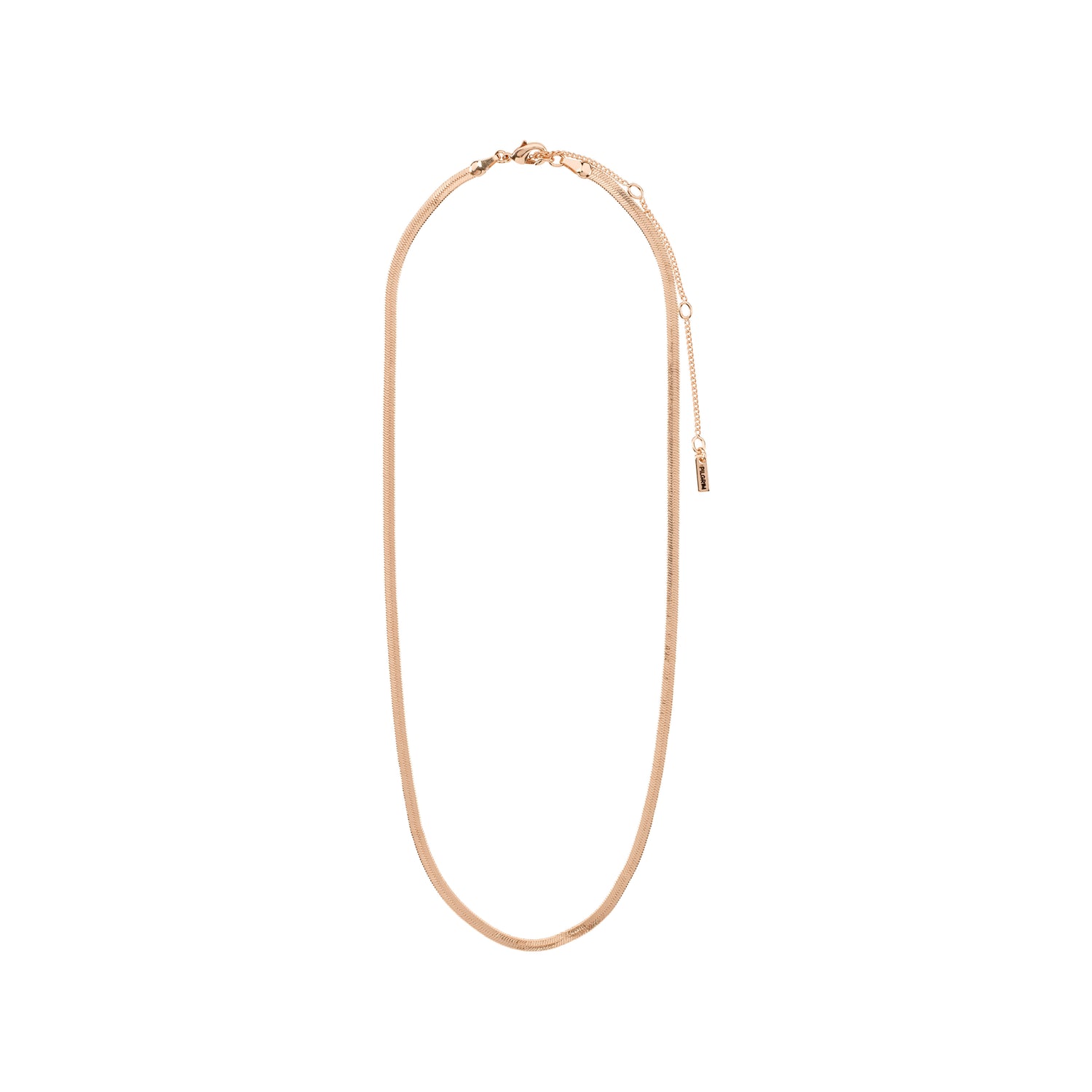 Gold Snake Chain Necklace – RoseGold & Black Pty Ltd