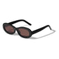 ALEXANDRIA sunglasses black